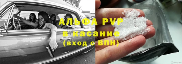 сатива Абинск