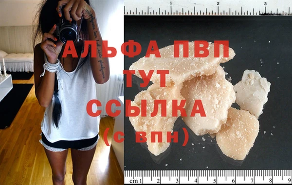 сатива Алексин