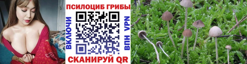 Галлюциногенные грибы Psilocybine cubensis  что такое   Туринск 